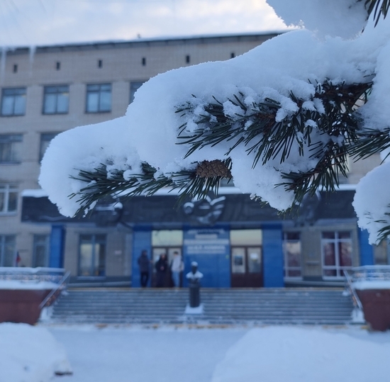 Мороз и солнце, день чудесный...